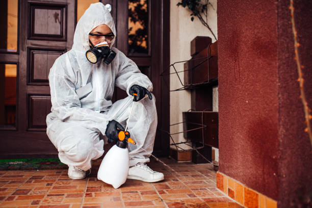 Reliable Wasp Removal contractor in Woodward, IA by Show Me Pest Control